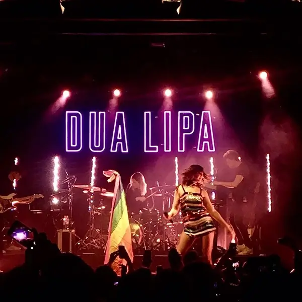 Dua Lipa Led Neon Sign - Carousel Lights