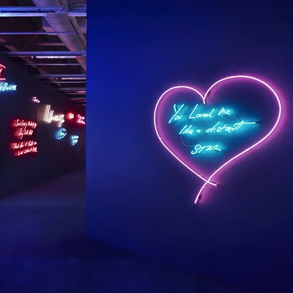 Tracey Emin Neon Artist - Carousel Lights